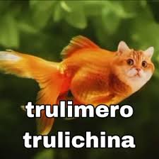 Catfish meme with text