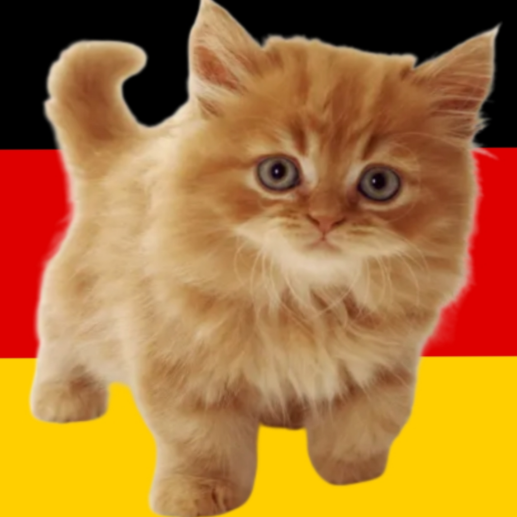 Cute orange kitten on German flag